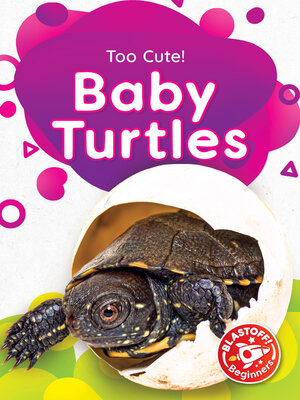 cover image of Baby Turtles
